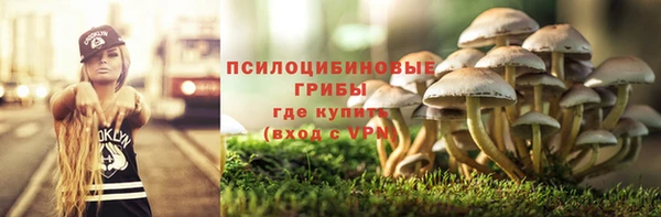 мяу мяу мука Алзамай