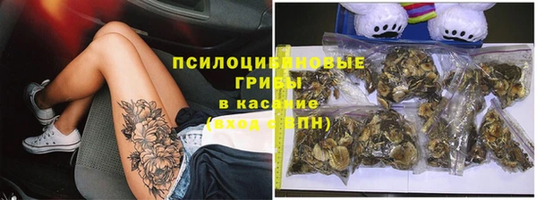 тгк Алексин