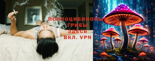 соль ск Абинск